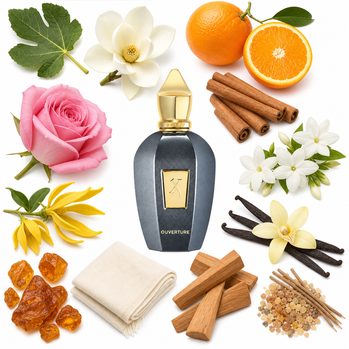 Xerjoff Ouverture with scent notes
