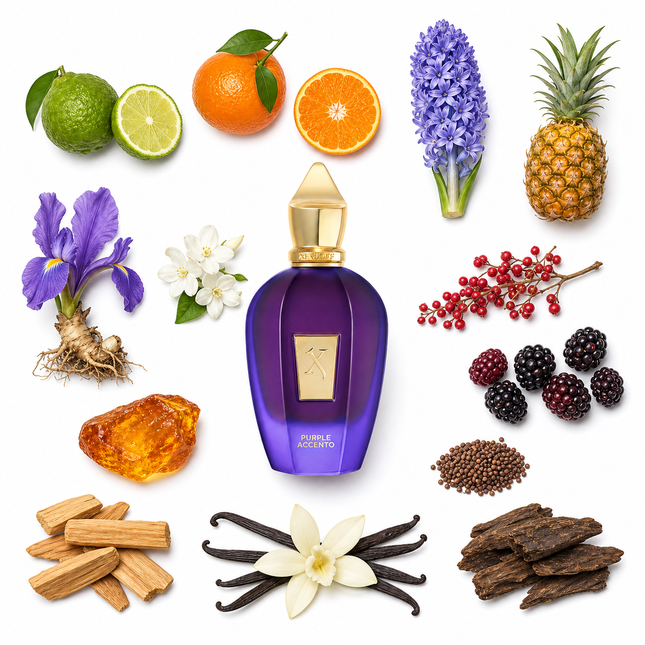 Xerjoff Purple Accento 100 ml with scent notes