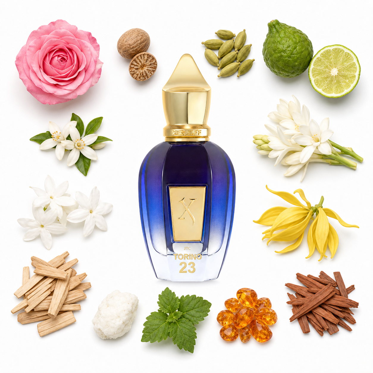 Xerjoff Torino 23 50 ml with scent notes