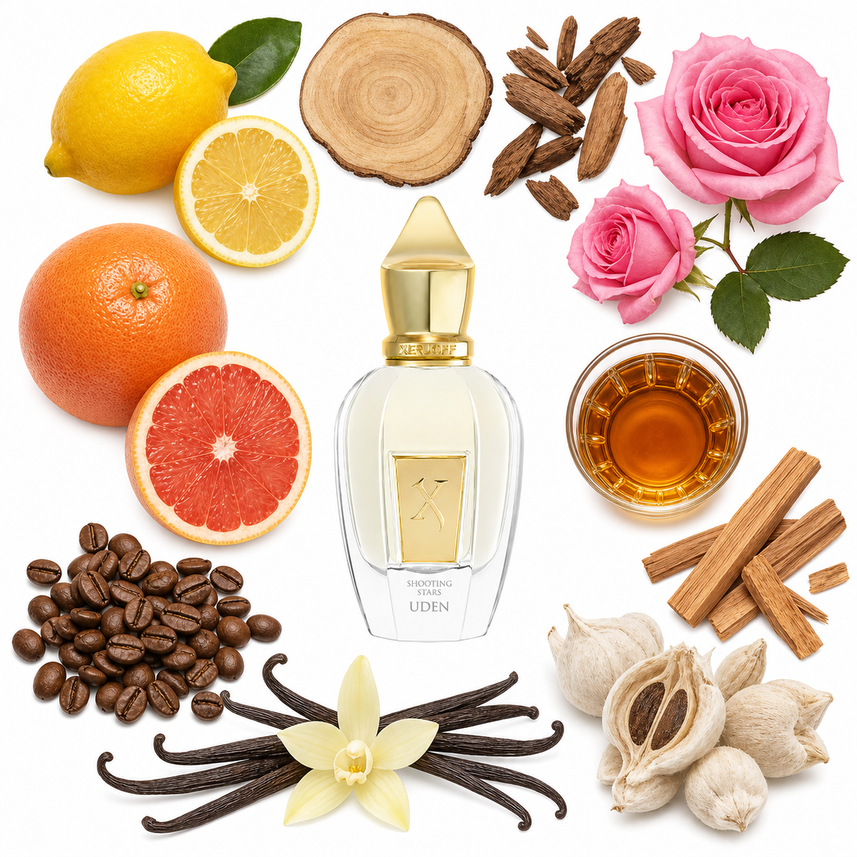 Xerjoff Uden with scent notes