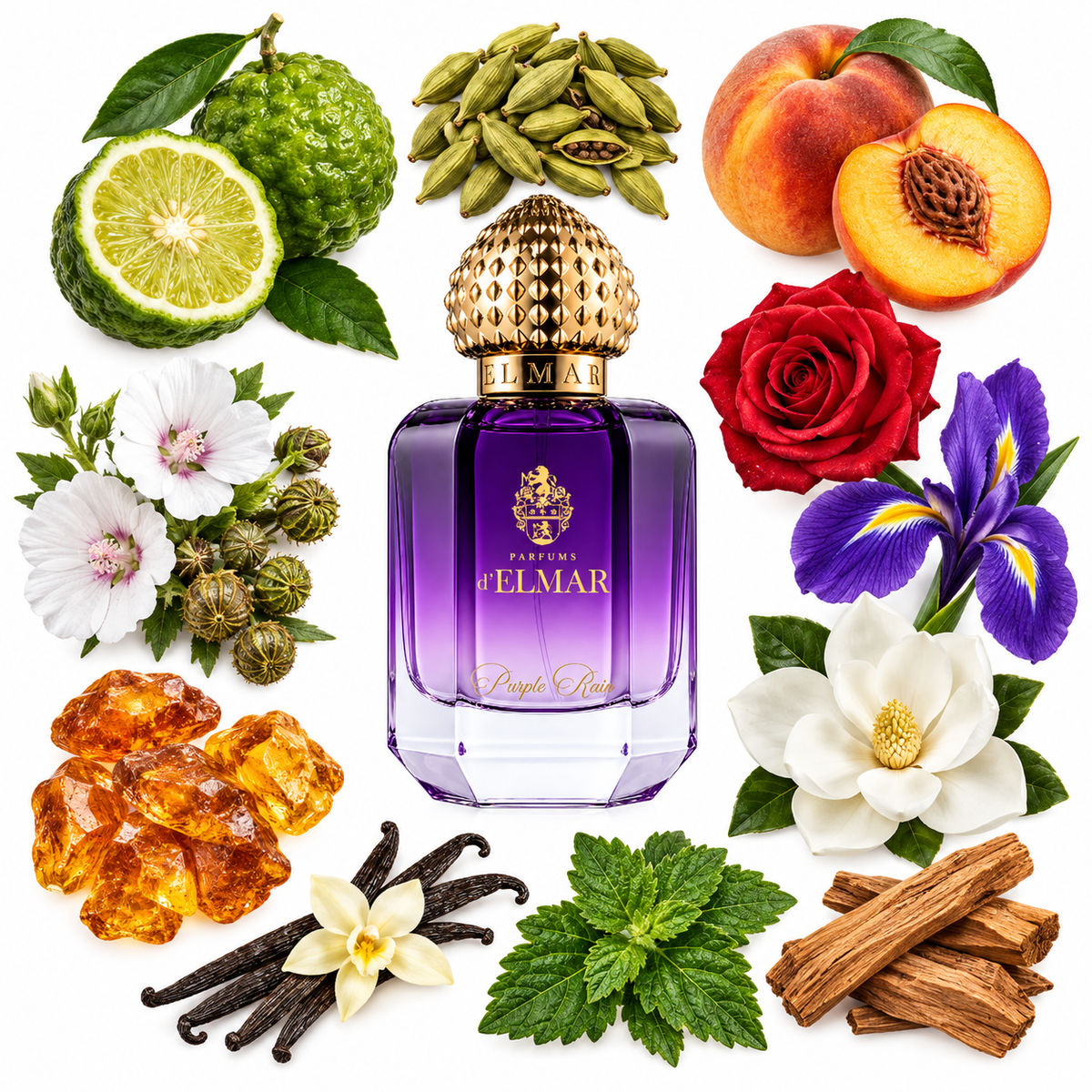d'Elmar PURPLE RAIN Extrait de Parfum with scent notes