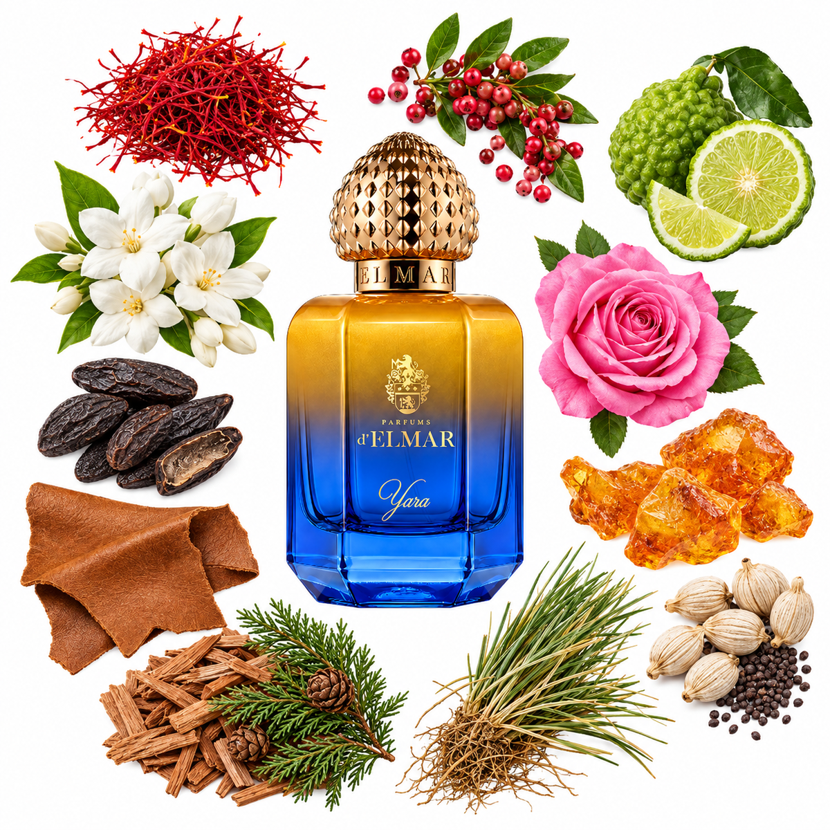 d'Elmar YARA Eau de Parfum with scent notes