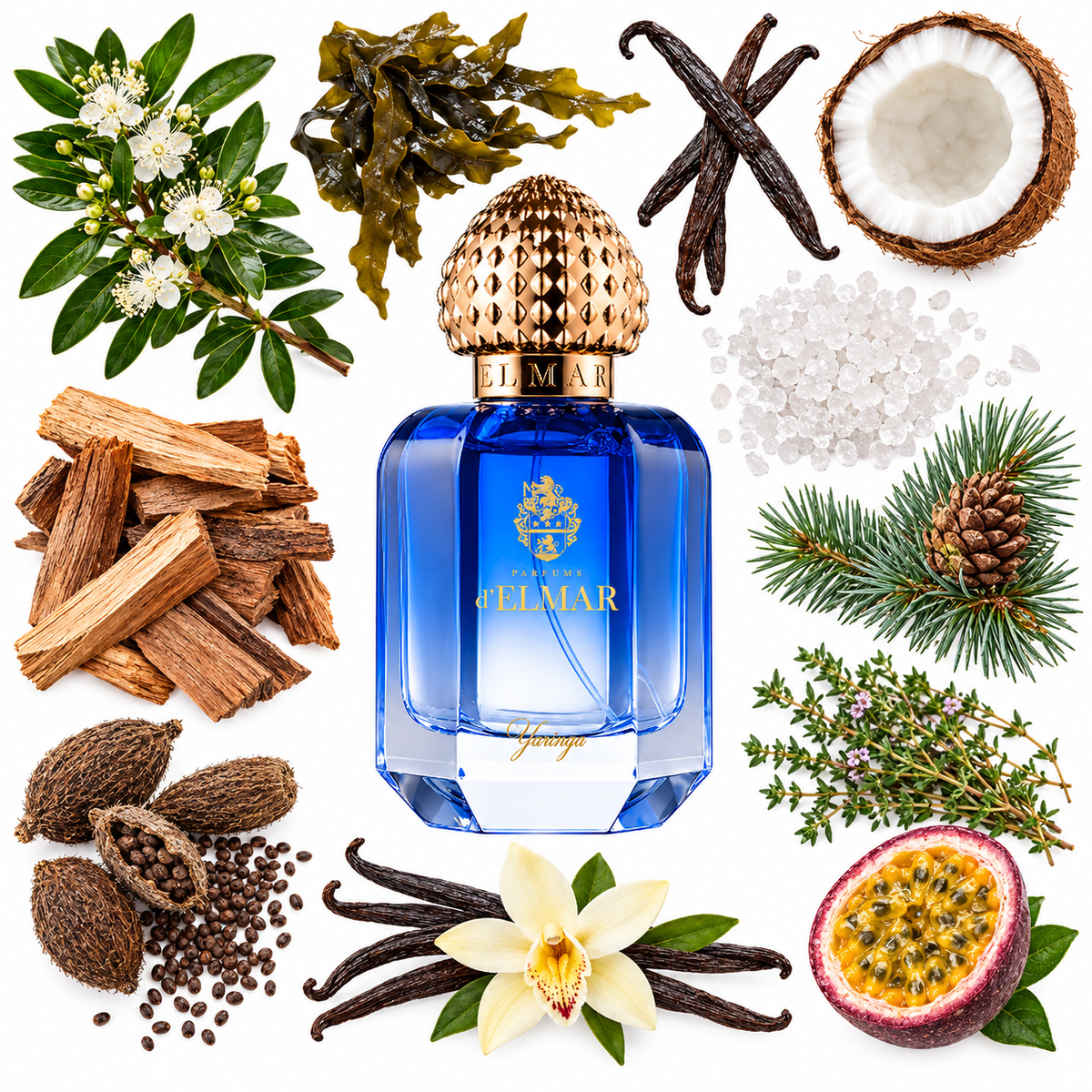 d'Elmar Yaringa Extrait de Parfum with scent notes