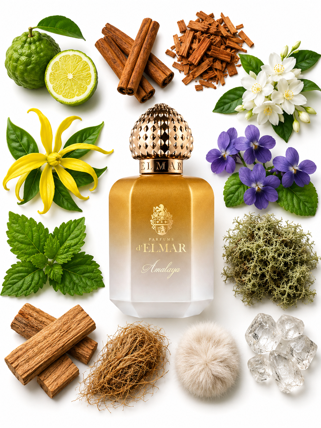 d'Elmar AMALAYA Eau de Parfum