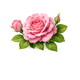 Damask