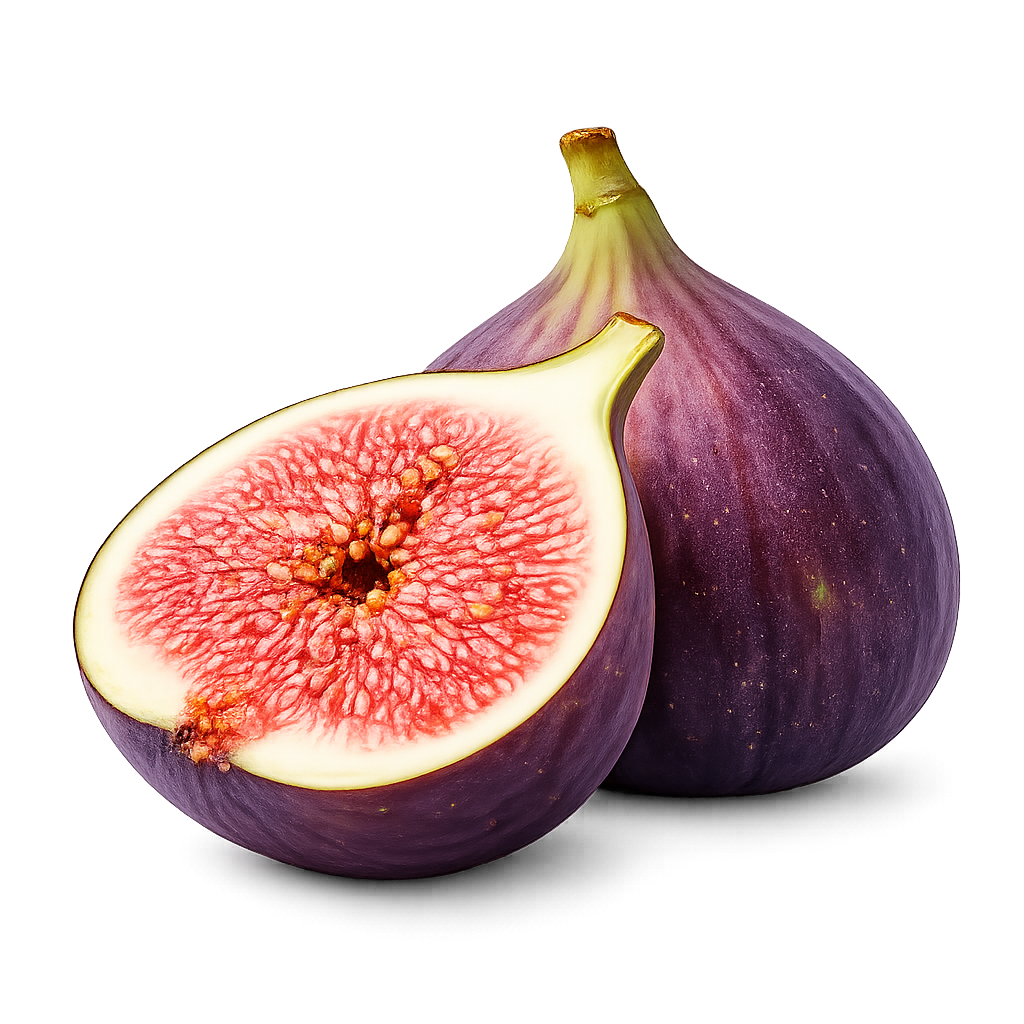Fig