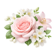 Floral Notes