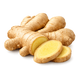 Ginger