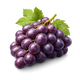 Grape