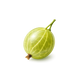 Gooseberry