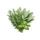 Herbal notes