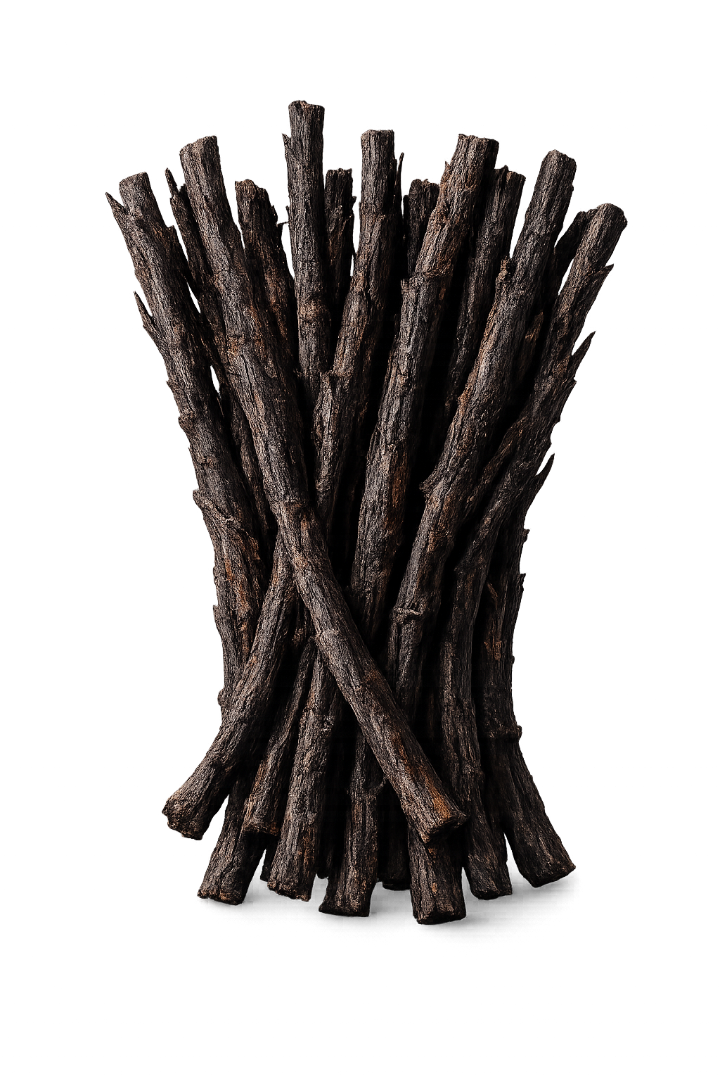 Java Vetiver