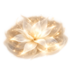 Paradisone