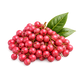 Pink berries