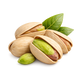 Pistachio