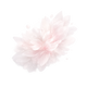 Petalia