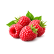 Raspberry