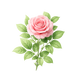 Rosyfolia