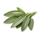 Sage