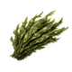 Seaweed