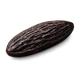 Tonka bean