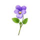 Violet