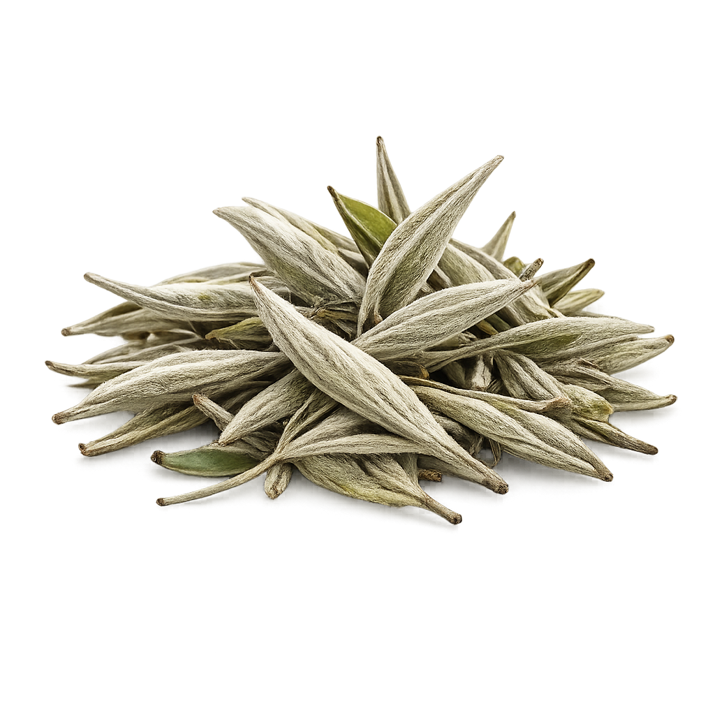 White Tea