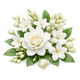 White flowers