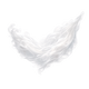 White Musk