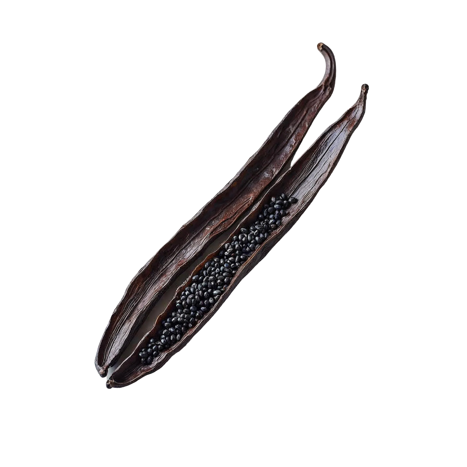 Vanilla