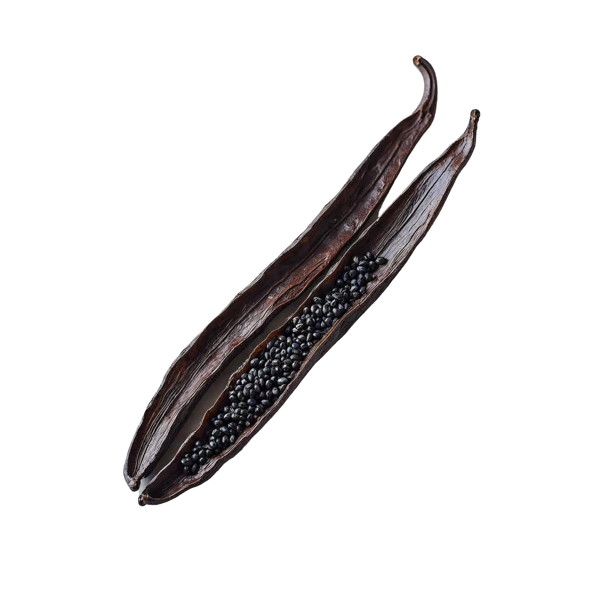Vanilla
