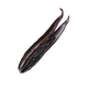 Vanilla