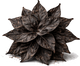 Dark patchouli