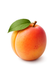 Apricot