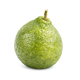 Bergamot