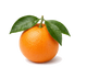 Bitter Orange