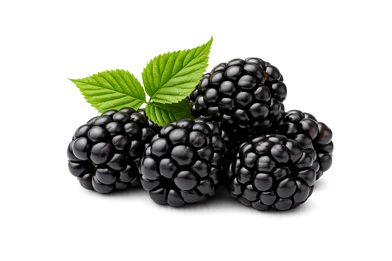 Blackberry