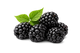 Blackberry