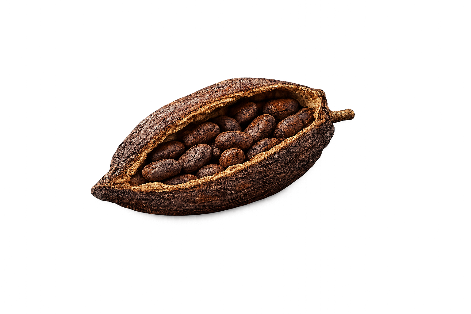 Cacao