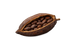 Cacao