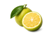 Calabrian Bergamot