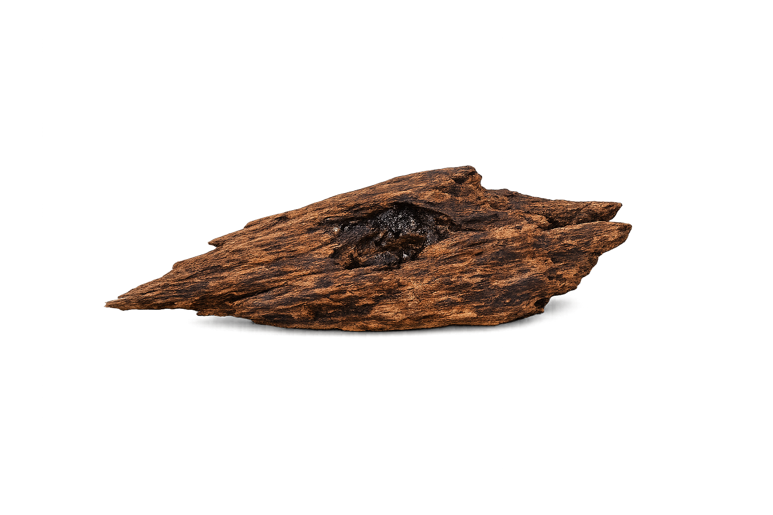 Cambodian Oud