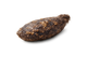 Castoreum