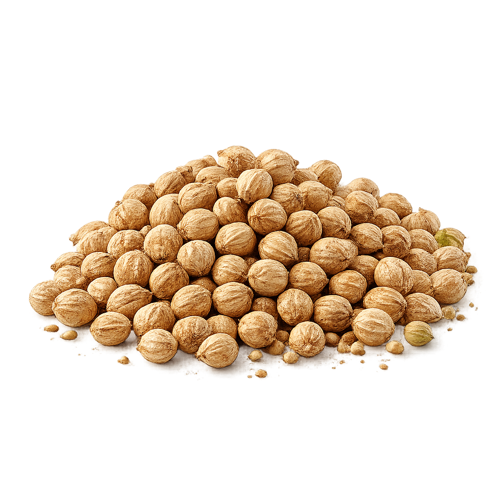 Coriander seeds