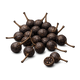 Cubeb