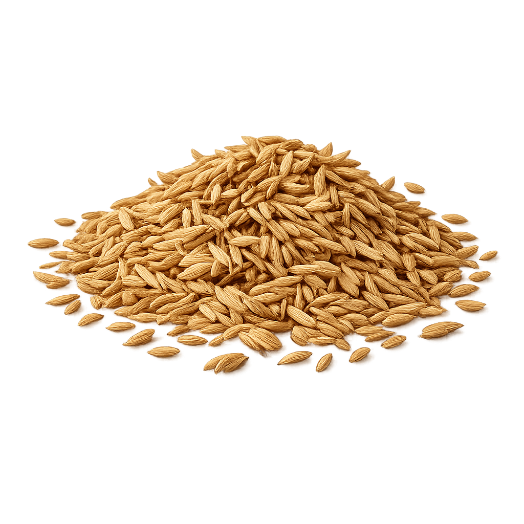 Cumin