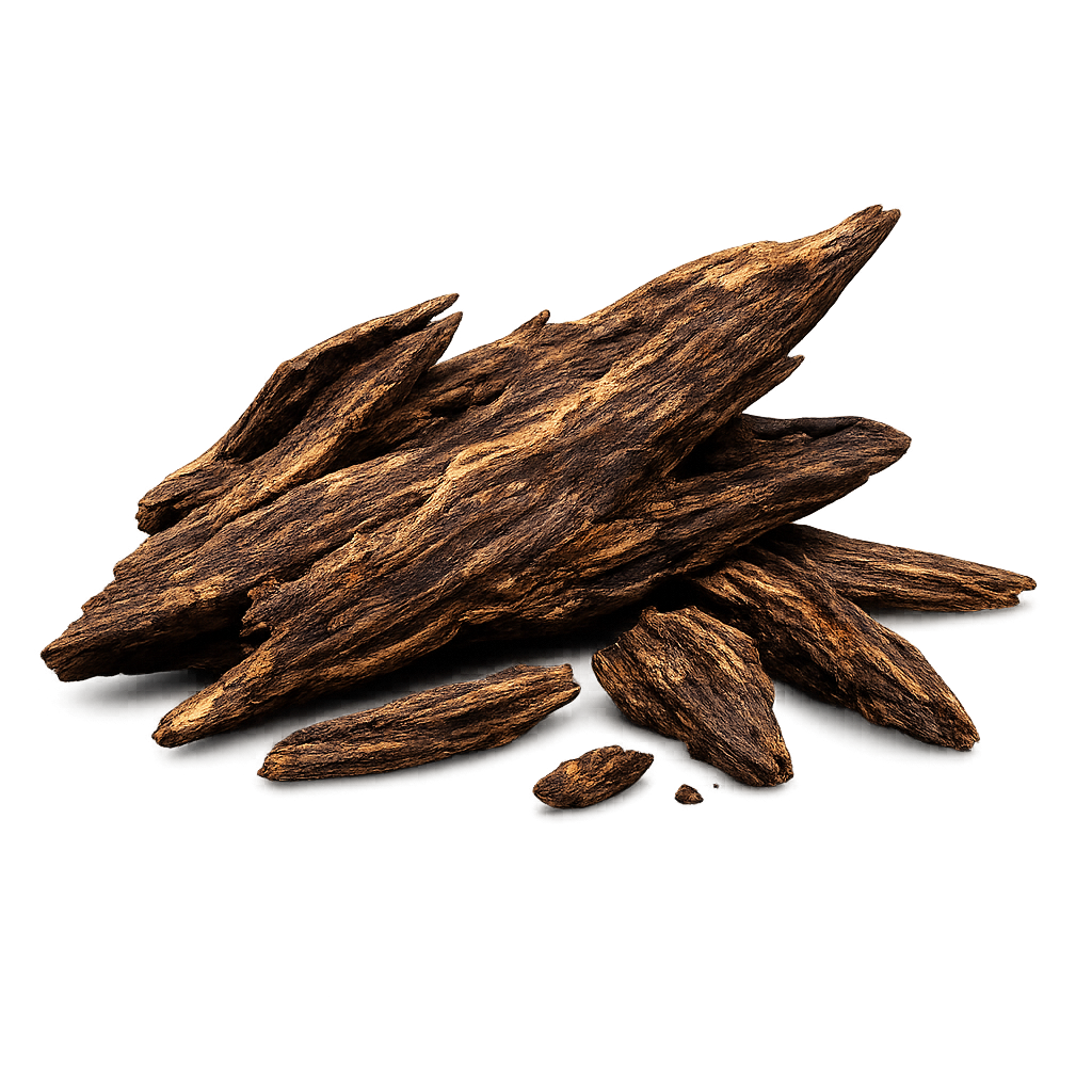 Indian Oud