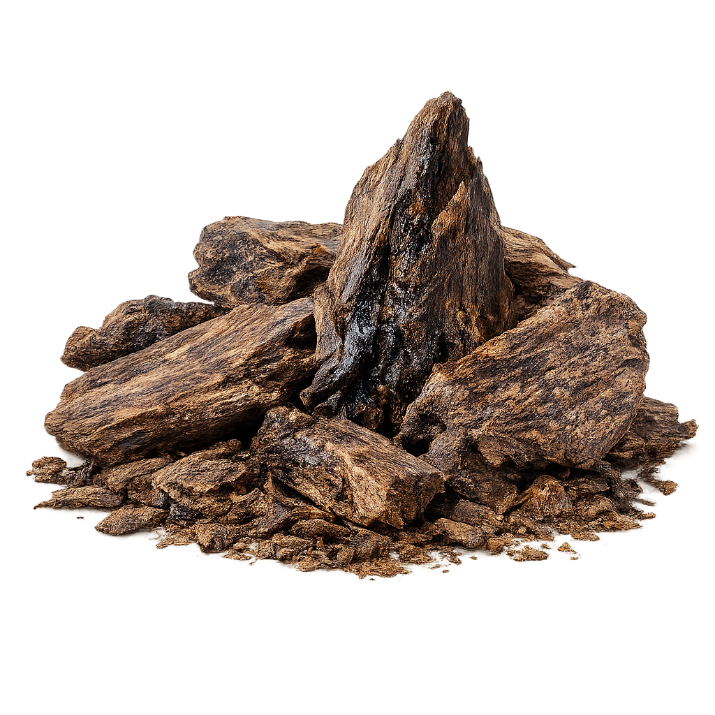Laotian Oud