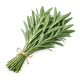 Lavender Leaves