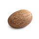 Nutmeg
